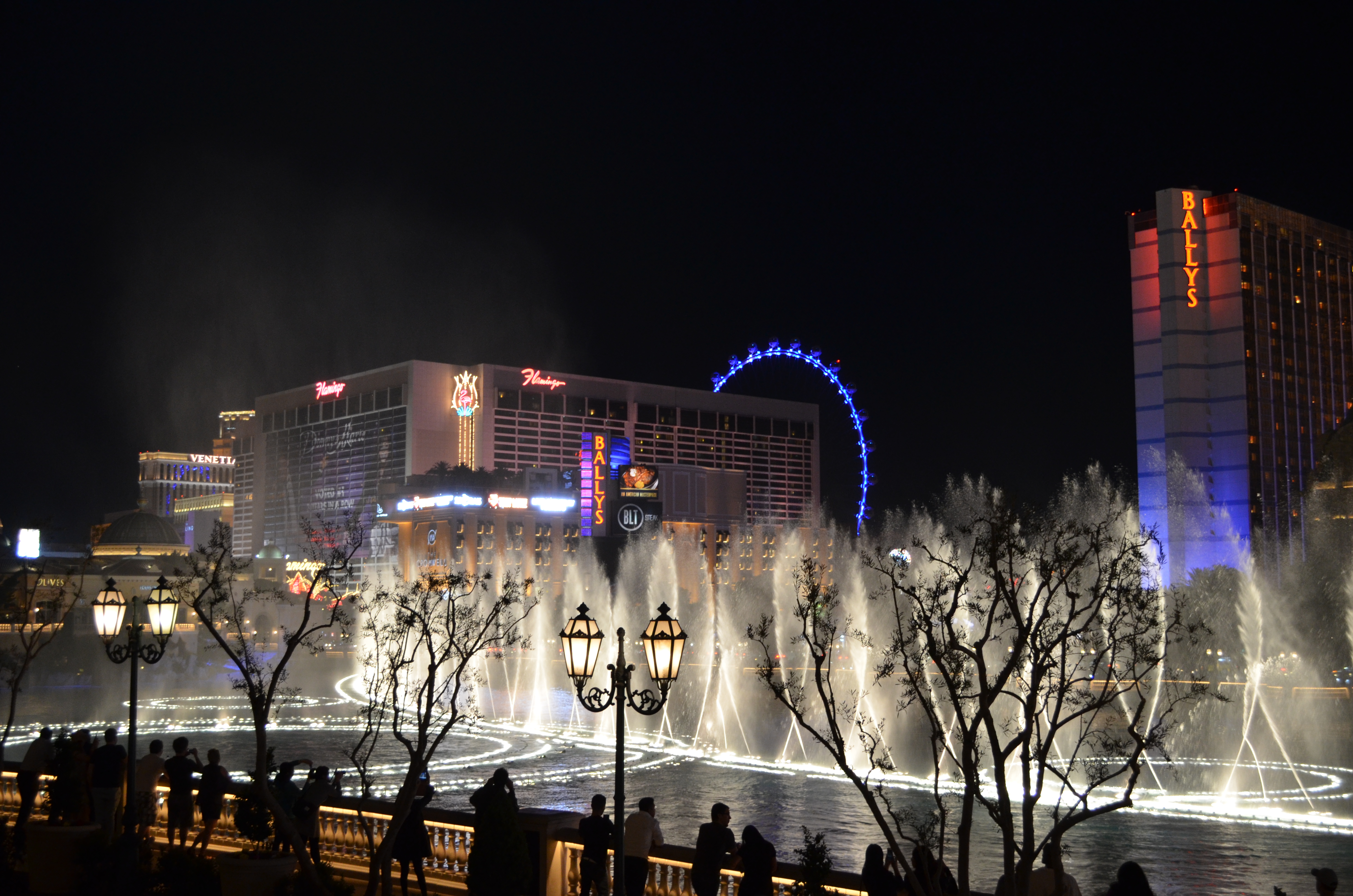./2016/04 - Las Vegas/Bellagio Fountains/DSC_0090.JPG